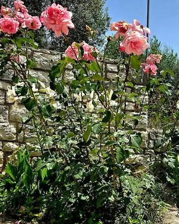 Artik Retreat 3 Himare