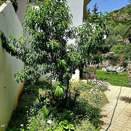 Casa vacanze Artik Retreat 3 *